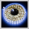 PURE WHITE SMD 5050 FLEXIBLE STRIP 