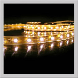 WARM WHITE SMD5050 FLEXIBLE STRIP