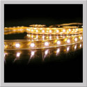 WARM WHITE SMD5050 FLEXIBLE STRIP