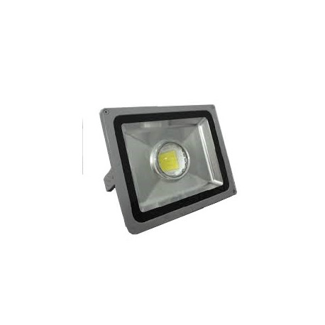 Projecteur 50W