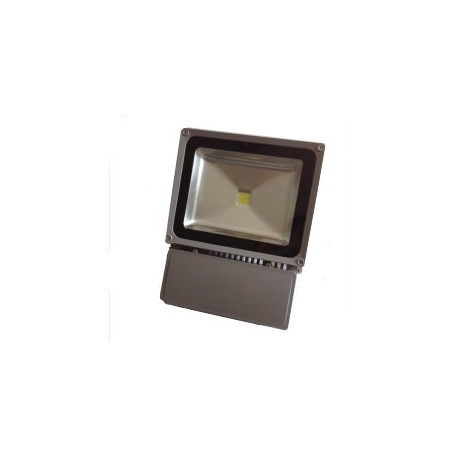 Projecteur 100W