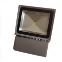 Projecteur 100W